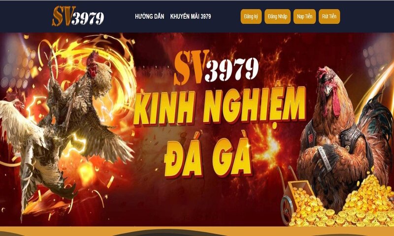 Một số những ưu điểm nổi bật của sảnh Đá gà SV3979 